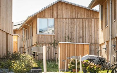 Eksperter: Sådan bliver bæredygtighed en del af regnskabet